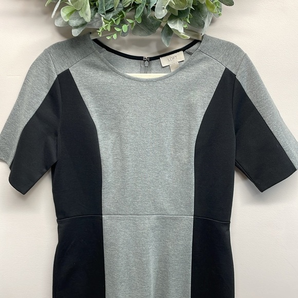 NWT Ann Taylor Loft Gray Black Color Block Short Sleeve Stretch Knit Dress 6 - Picture 3 of 16